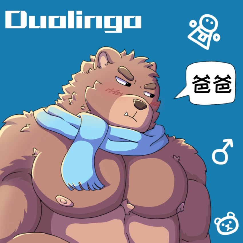 1:1 anthro bear brown_body brown_fur chinese_text cjk_character falstaff_(duolingo) fur jiangbingya male mammal scarf simple_background solo text