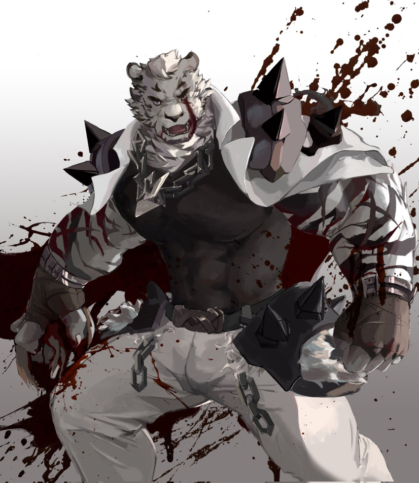 1boy abs animal_ears arknights bara black_gloves black_shirt blood blood_on_clothes blood_on_face blood_splatter chain_necklace chinese_commentary claw_pose claws clenched_hand commentary_request cross_scar fangs fingerless_gloves furry furry_male gloves highres jewelry looking_at_viewer male_focus mountain_(arknights) multiple_scars muscular muscular_male necklace open_mouth pants pectorals scar scar_across_eye scar_on_arm scar_on_cheek scar_on_face shirt sleeveless sleeveless_shirt tiger_boy tiger_ears tiger_stripes trucky73 white_pants