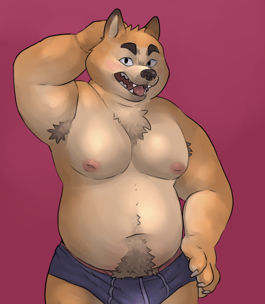 armpit_hair body_hair canine dog glitter_trap_boy hairy happy_trail mammal nameless_character overweight shiba_inu simple_background slightly_chubby