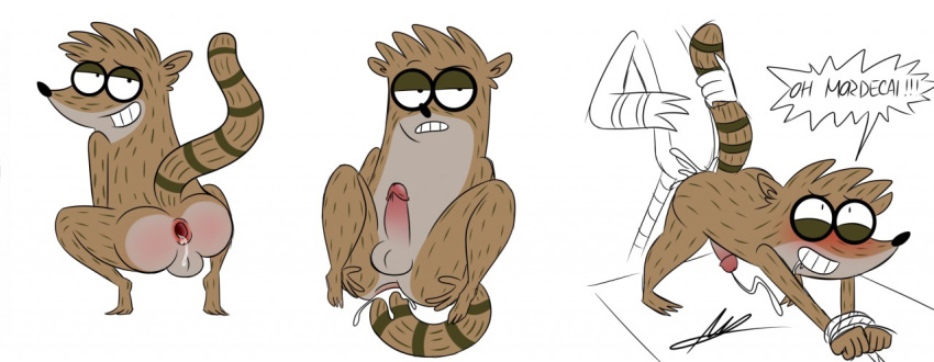 avian balls bird blue_jay butt cartoon_network corvid mammal mordecai_(regular_show) penis procyonid raccoon regular_show rigby_(regular_show) smile tail_pull teeth text