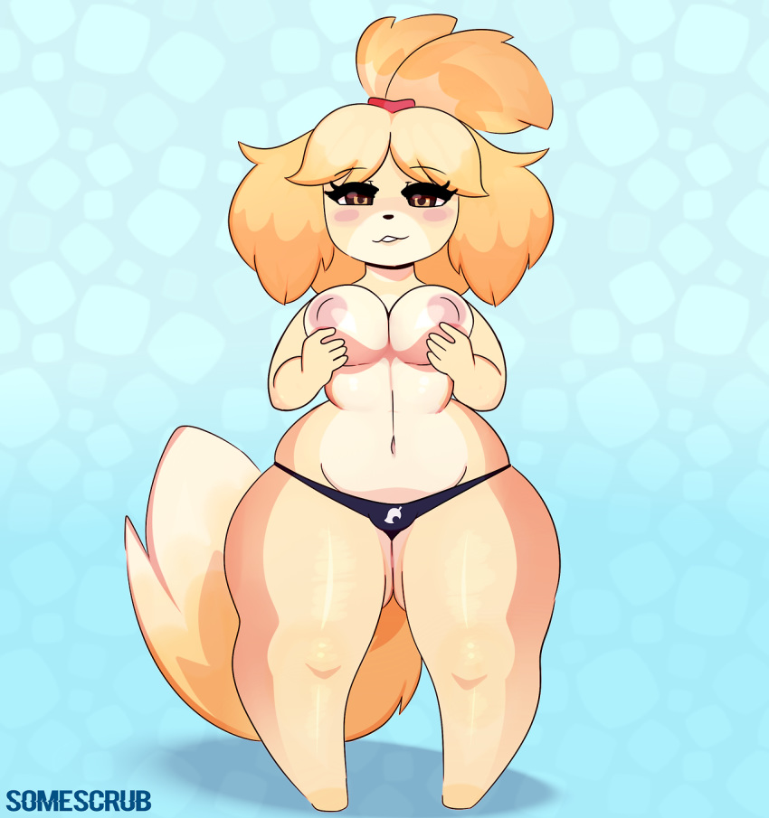 2017 animal_crossing anthro breasts canine clothing digital_media_(artwork) dog featureless_feet female fur hair half-closed_eyes hi_res inverted_nipples isabelle_(animal_crossing) looking_at_viewer mammal nintendo nipples shih_tzu short_stack solo somescrub thick_thighs video_games