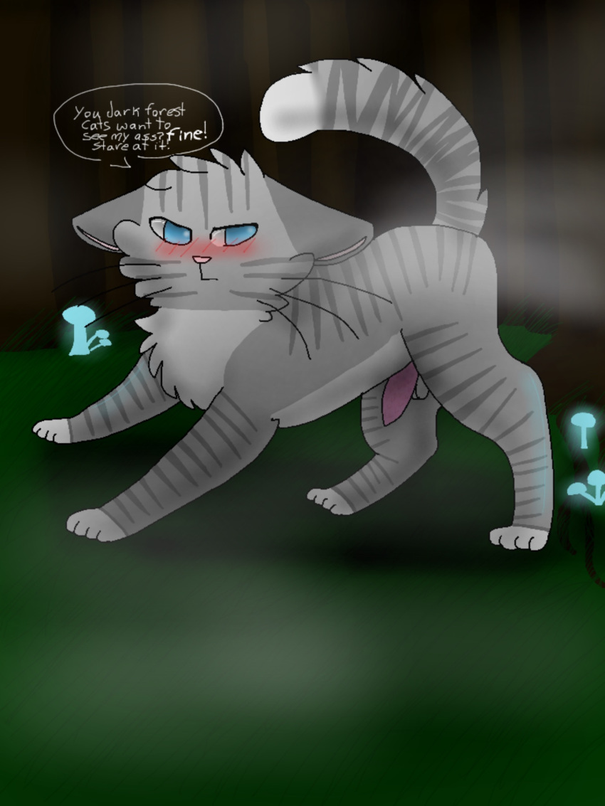 animal_genitalia animal_penis balls blue_eyes blush cat erection feline feral fur glowing_mushrooms grass grey_fur jayfeather_(warriors) kiwikioz_(artist) male mammal penis pink_nose solo text tree warriors_(cats) whiskers