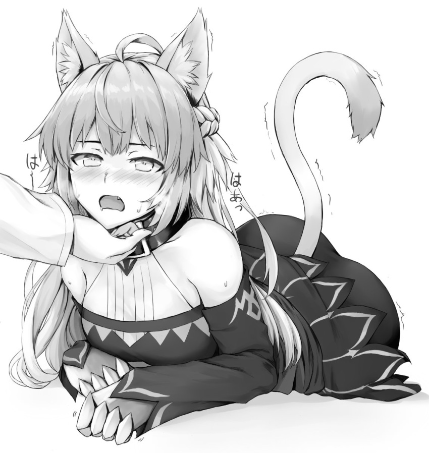 ahoge animal_ears ass atalanta_(alter)_(fate) atalanta_(fate) blush chin_tickle cold_(hoshinoskull) collar detached_sleeves fang fate/grand_order fate_(series) greyscale highres long_hair lying monochrome on_stomach out_of_frame solo_focus sweat tail twitching