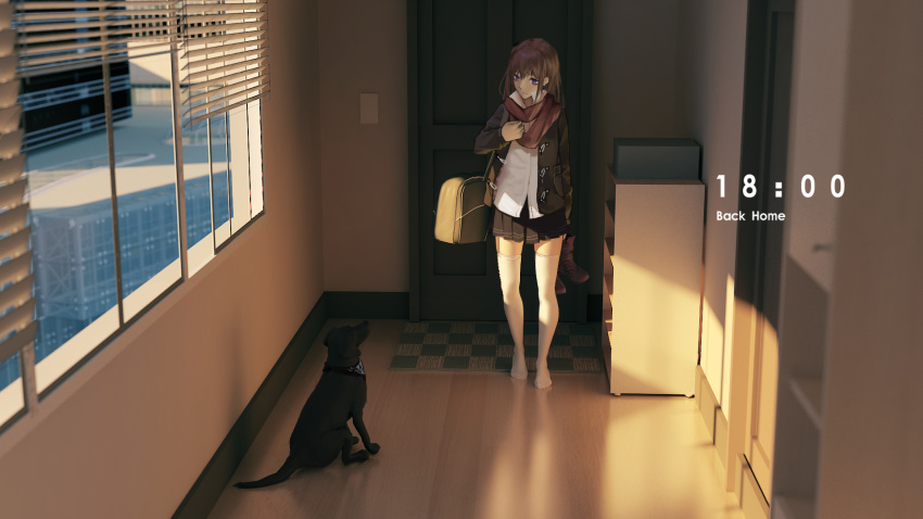 arm_at_side arm_up bag bangs black_dog black_jacket black_skirt blinds blue_eyes bookshelf boots brown_footwear brown_hair building closed_mouth commentary dog door english_commentary evening full_body girls_frontline highres holding holding_shoes indoors jacket long_hair long_sleeves looking_at_viewer no_shoes open_clothes open_jacket pleated_skirt popped_collar red_scarf reflection scarf shirt shoes shoulder_bag sign sign_around_neck skirt solo st_ar-15_(girls_frontline) standing sunlight tacshojosora text_focus thighhighs timestamp white_legwear white_shirt window wing_collar wooden_floor zettai_ryouiki