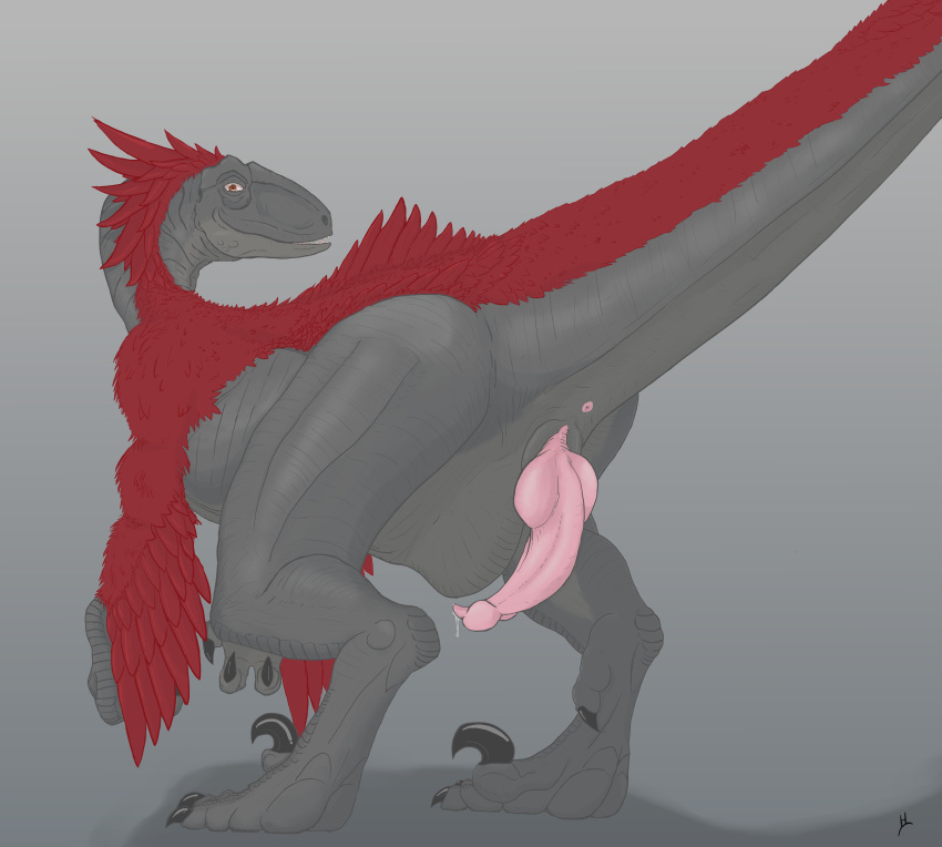 anus dinosaur feathers feral knot looking_at_viewer male penis precum presenting raptor red_feathers solo theropod wyatt wyatt_(artist)