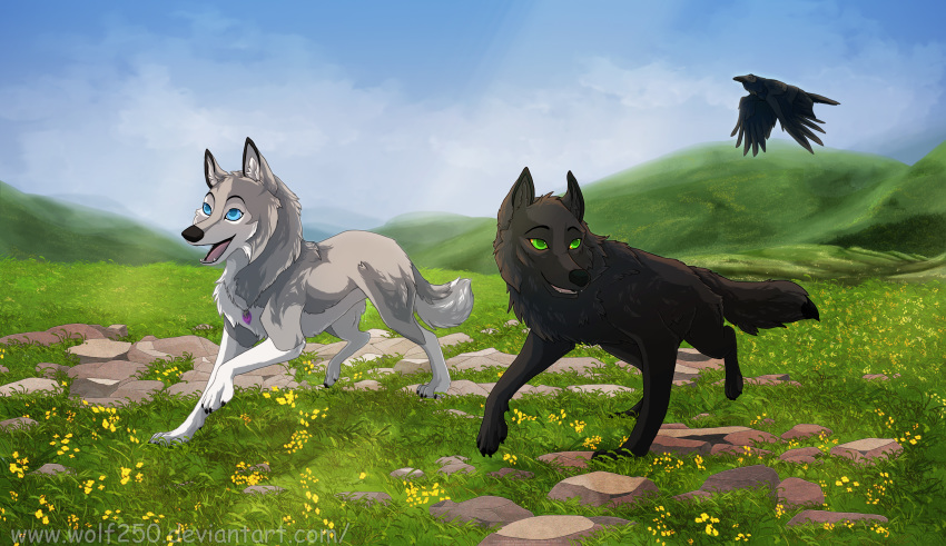 2018 black_feathers blue_eyes canine day detailed_background digital_media_(artwork) feathered_wings feathers female feral flying fur grass green_nose grey_fur group mammal open_mouth outside paws sky smile teeth tongue wings wolf wolf250 yellow_sclera