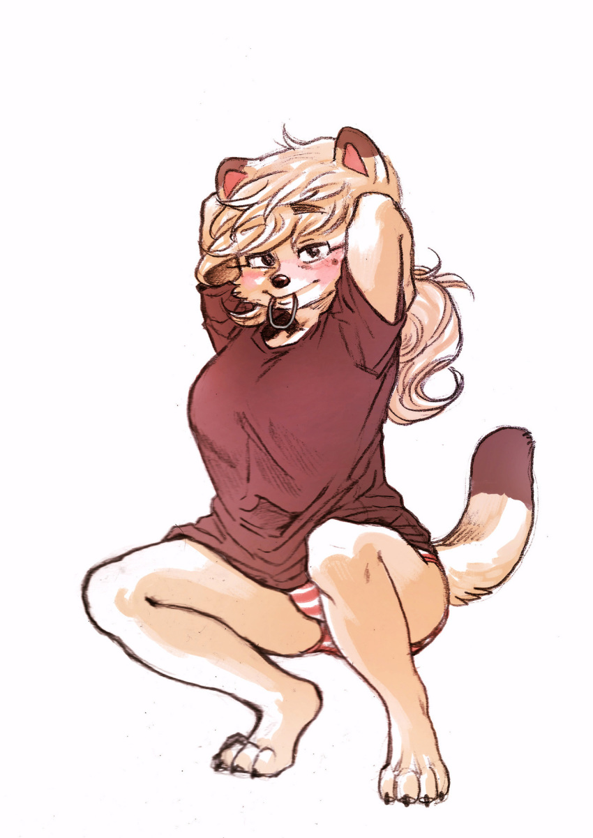 2018 4_toes anthro barefoot beauty_mark bedroom_eyes big_breasts biped black_claws black_fur black_nose black_tail blush breasts brown_clothing canine cheek_tuft claws clothed clothing crouching digital_drawing_(artwork) digital_media_(artwork) dipstick_ears dipstick_tail dog eyebrows eyebrows_visible_through_hair eyelashes female full-length_portrait fur fur_tuft hair hair_tie half-closed_eyes hands_behind_head hatching_(technique) hybrid jindo kemono kishu_inu korean light_theme lighting looking_at_viewer mammal mole_(marking) mouth_hold multicolored_fur multicolored_tail object_in_mouth oversized_clothing oversized_shirt panties ponytail portrait preening raised_arm ryonggay seductive shadow shirt simple_background smile solo thick_eyebrows toe_claws toes translucent_hair tuft two_tone_fur two_tone_tail underwear white_background white_fur white_hair white_tail yong-sil_(ryonggay)