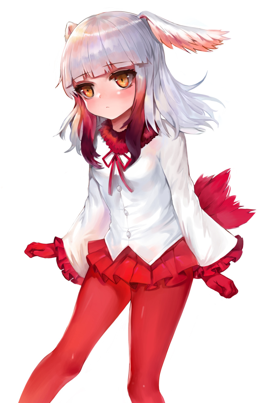 absurdres bangs bird_tail blunt_bangs blush breasts brown_eyes closed_mouth dokomon eyebrows_visible_through_hair feathered_wings frilled_sleeves frills fur-trimmed_jacket fur_trim gloves gradient_hair gradient_wings head_tilt head_wings highres jacket japanese_crested_ibis_(kemono_friends) kemono_friends long_sleeves multicolored multicolored_hair multicolored_wings pantyhose pleated_skirt red_gloves red_hair red_legwear red_skirt red_wings sidelocks silver_hair simple_background skirt small_breasts solo white_background white_jacket white_wings wings