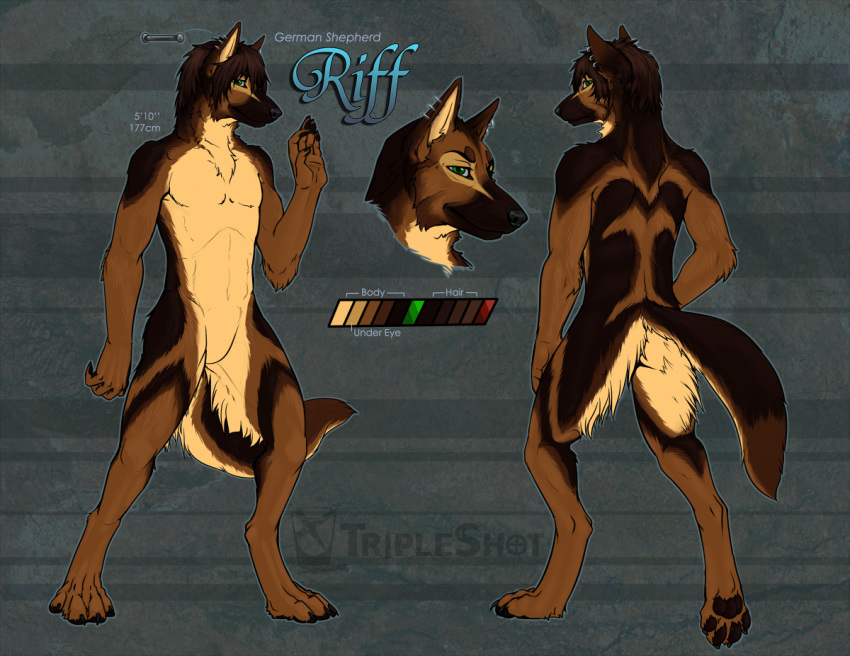 anthro barbell_piercing canine dog ear_piercing german_shepherd green_eyes helix_piercing male mammal model_sheet piercing riff_(riff34) solo triple-shot