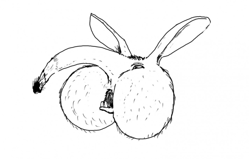 anus butt_focus buttface disembodied_butt invalid_tag kangaroo mammal marsupial monochrome open_mouth postalroo simple_background solo what