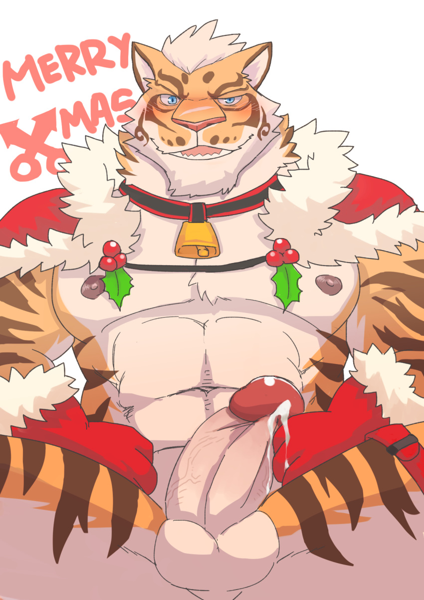 abs anthro balls biceps big_penis blue_eyes blush christmas clothing collar cowbell cum digital_media_(artwork) dripping english_text erection felid glans gloves holidays humanoid_penis lin_hu looking_at_viewer male mammal mistletoe mostly_nude muscular muscular_male navel nekojishi nipples open_mouth pantherine pecs penis plant precum presenting sharp_teeth simple_background smile solo spread_legs spreading stripes teeth text thick_penis tiger v2wolf vein veiny_penis ♂