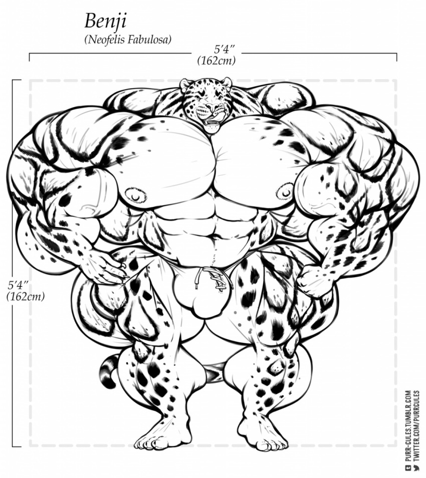 2018 abs anthro areola benji_(character) big_arms bulge clouded_leopard ear_piercing feline front_view hyper hyper_muscles mainlion male mammal monochrome muscular muscular_male pecs piercing solo spots standing thick_thighs tongue veiny_muscles