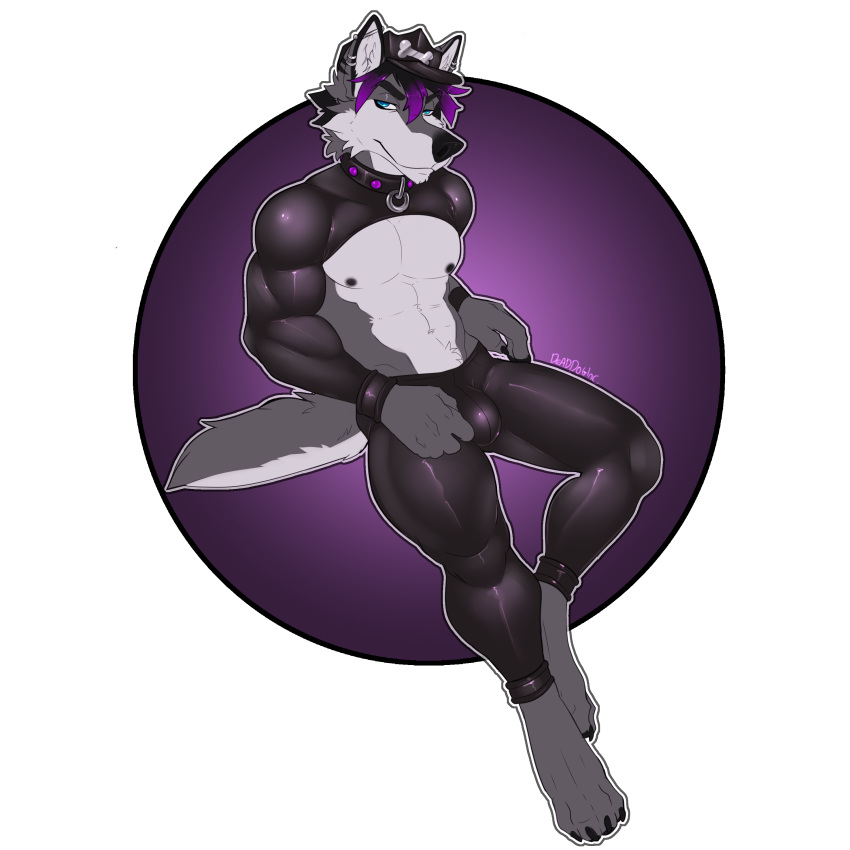 anthro bambii_dog bulge canine clothed clothing collar hat looking_at_viewer male mammal nipples rubber solo tight_clothing