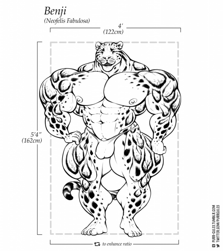 2018 abs anthro areola benji_(character) big_arms bulge clouded_leopard ear_piercing feline front_view hyper hyper_muscles mainlion male mammal monochrome muscular muscular_male pecs piercing solo spots standing thick_thighs