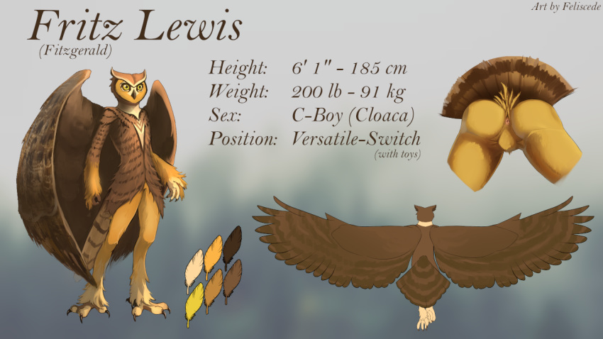 animal_genitalia anthro avian beak big_eyes biped bird butt cloaca cuntboy feathered_wings feathers feliscede full-length_portrait great_horned_owl intersex model_sheet nude owl portrait presenting presenting_hindquarters solo standing tail_feathers wings