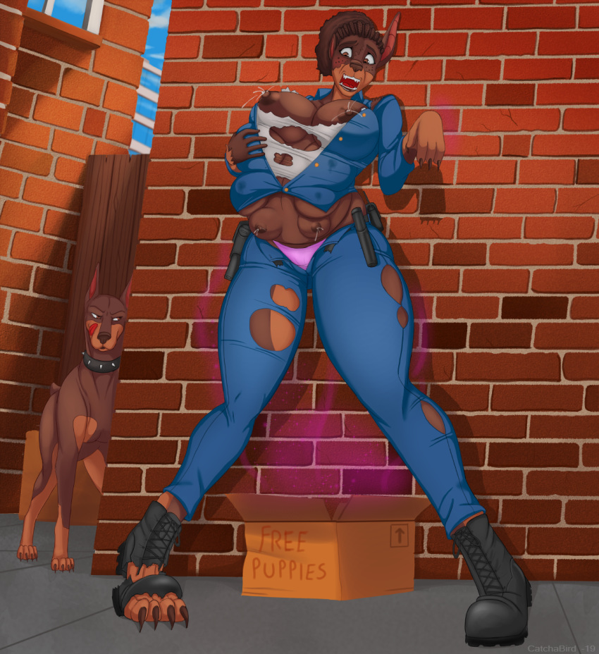 2019 8_breasts ambiguous_gender anthro big_breasts breast_expansion breasts brown_hair camel_toe canid canine canis cardboard_box catchabird claws clothing collar dark_skin detailed_background doberman domestic_dog duo female feral footwear hair hand_on_breast hi_res lactating mammal nipples open_mouth outside police shocked shoes solo_focus standing torn_clothing transformation underwear uniform wide_hips