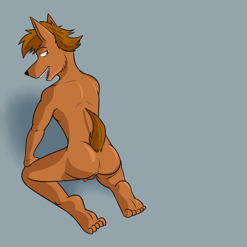 anthro anus balls butt canid canine fuze hi_res male mammal nude penis seductive simple_background solo