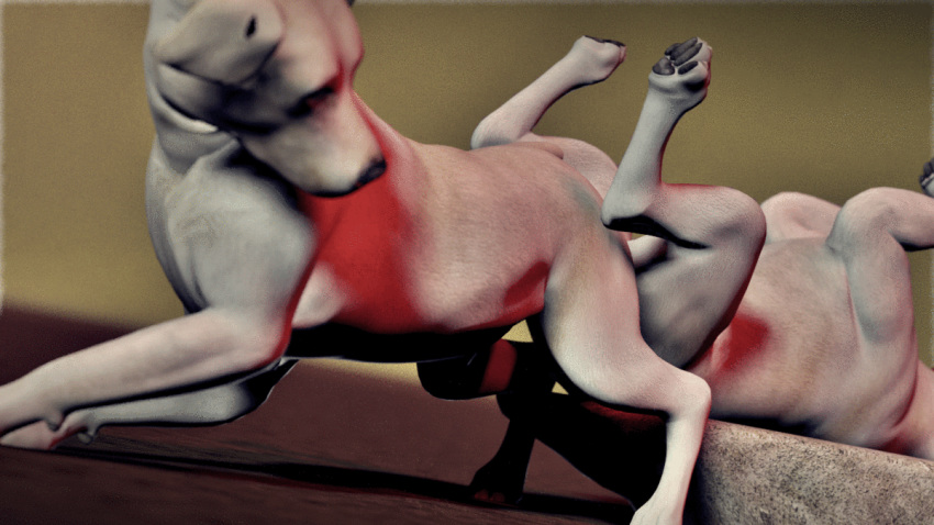 16:9 3d_(artwork) ambiguous_penetration animated canid canine canis digital_media_(artwork) domestic_dog female feral feral_on_feral grinding hot_dogging loop mammal penetration rubbing sex tribadism trioami260