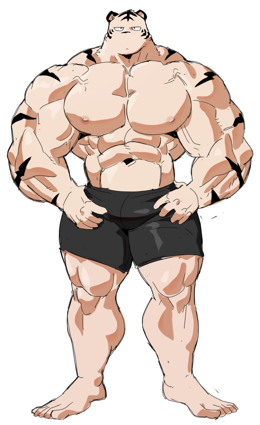 2019 5_fingers abs absurd_res anthro biceps clothing digital_media_(artwork) felid fur hi_res kemono male mammal muscular muscular_male nipples pantherine pecs simple_background solo syukapong tiger