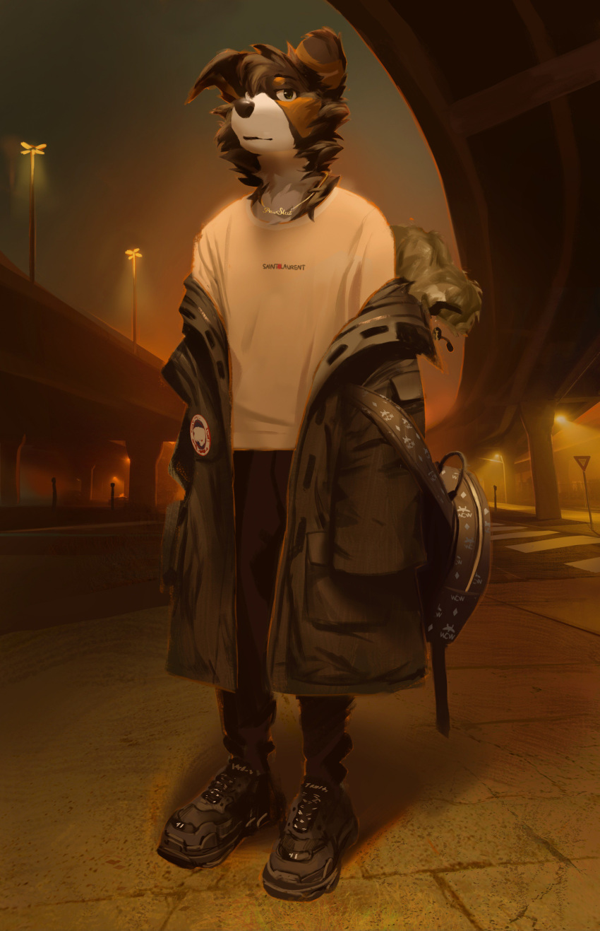 anthro backpack black_fur brown_fur canid canine canis clothed clothing domestic_dog footwear fur hi_res jewelry male mammal multicolored_fur necklace off_shoulder outside parka road shoes solo standing street street_lamp tacklebox white_fur