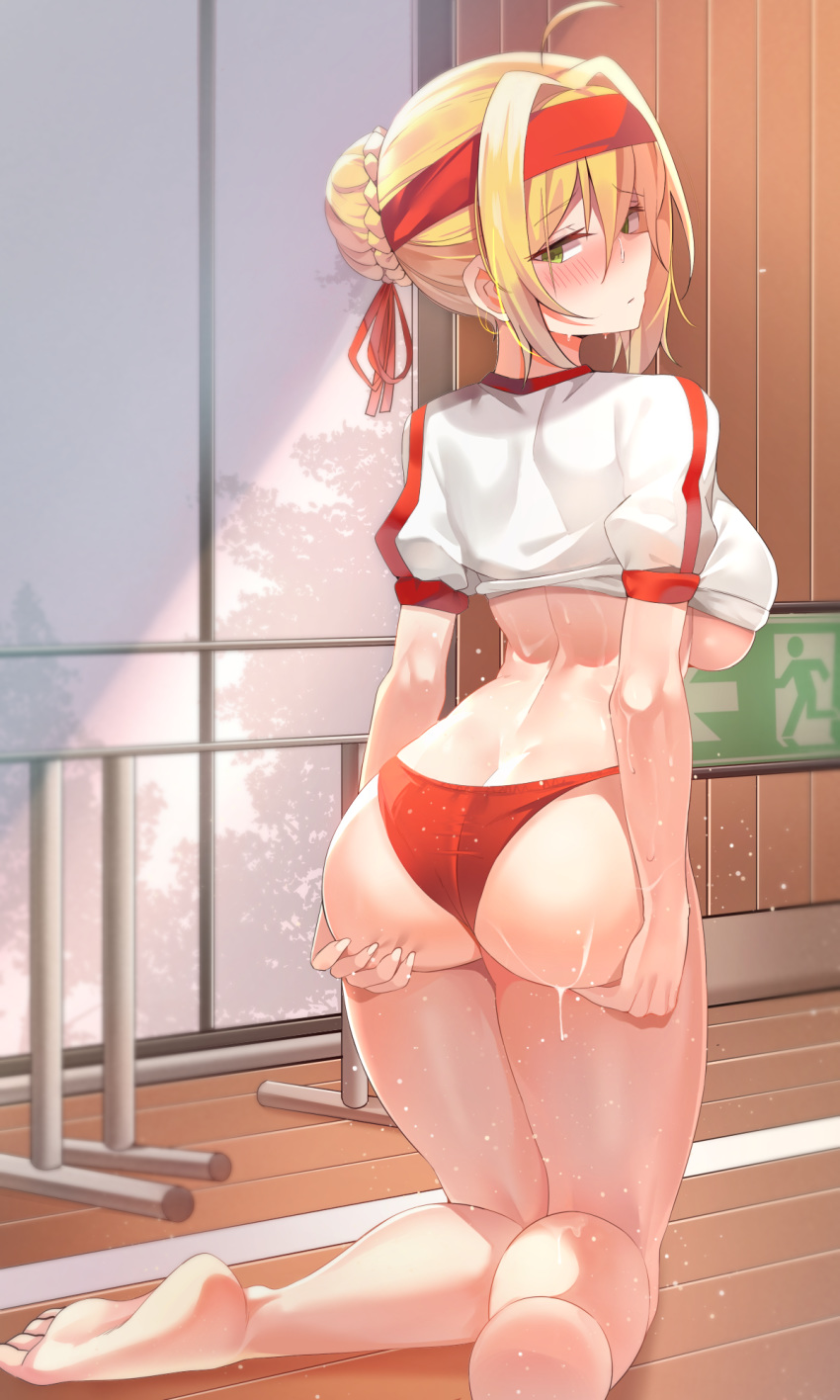 fate/grand_order saber_extra tagme wet