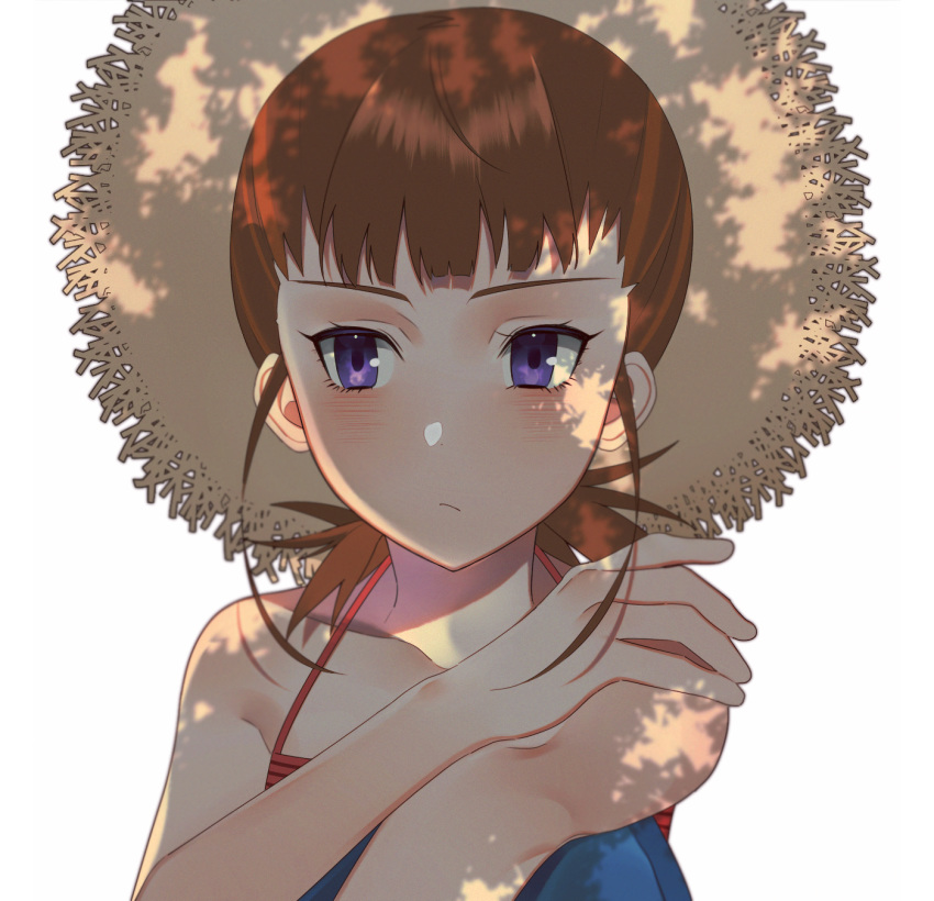1girl bangs bare_arms bare_shoulders blush brown_hair camisole closed_mouth collarbone digimon digimon_tamers hano_ka hat highres makino_ruki ponytail purple_eyes shadow solo spaghetti_strap straw_hat sun_hat