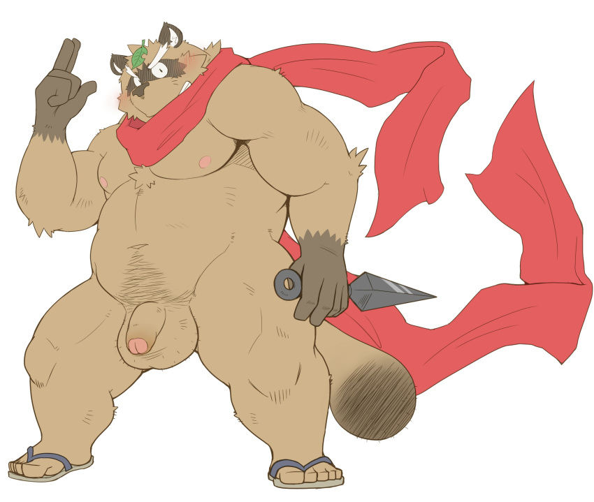 2015 anthro balls belly blush brown_fur canid canine clothing flaccid footwear fur hi_res humanoid_hands humanoid_penis leaf male mammal moobs navel nipples overweight overweight_male penis raccoon_dog sandals scarf shiike999 simple_background solo tanuki white_background
