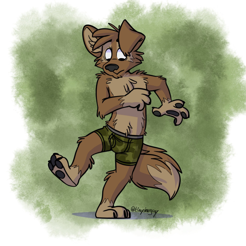 barefoot boxer_briefs canid canine canis clothed clothing domestic_dog green_underwear hi_res male mammal matt_riskely solo tinydeerguy topless underwear