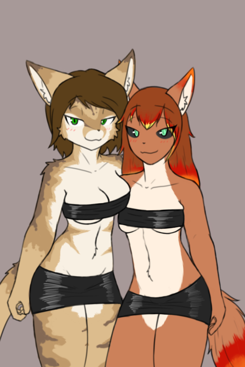 2019 anthro big_breasts black_sclera blush breasts canid canine caradhina clothed clothing digital_media_(artwork) domestic_cat duo felid feline felis female fire fully_clothed fur green_eyes hair helia_peppercats_(wrinklynewt) hi_res looking_at_viewer mammal simple_background skirt wbnsfwfactory