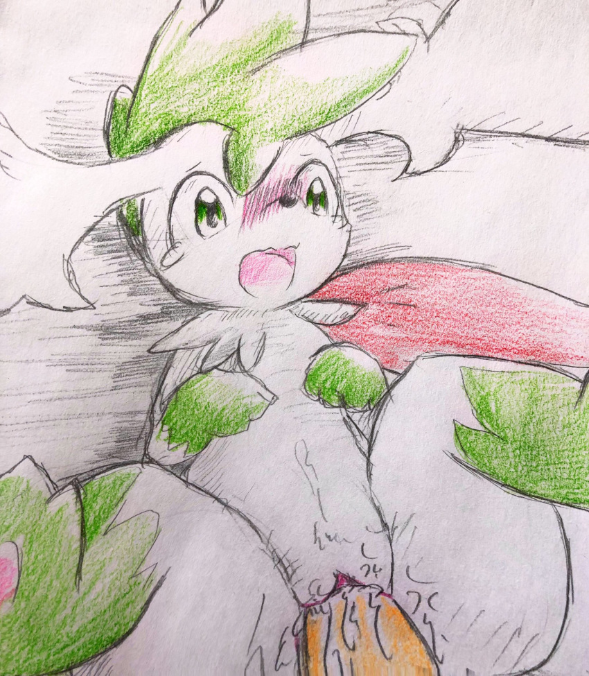 3_toes begging begging_pose black_nose blush colored_pencil_(artwork) cum cum_in_pussy cum_inside duo eiroru female first_person_view flora_fauna fur green_eyes green_fur hi_res legendary_pok&eacute;mon male male/female markings nintendo open_mouth pawpads penis pink_pawpads plant pok&eacute;mon pok&eacute;mon_(species) pussy shaymin shaymin_(sky_form) socks_(marking) solo_focus spread_legs spreading tears toes tongue traditional_media_(artwork) video_games wide_eyed