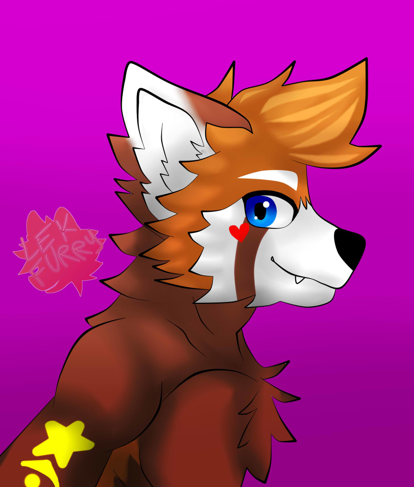 ailurid digital_media_(artwork) furryart gabriel hi_res junior lek mammal red_panda star ursid