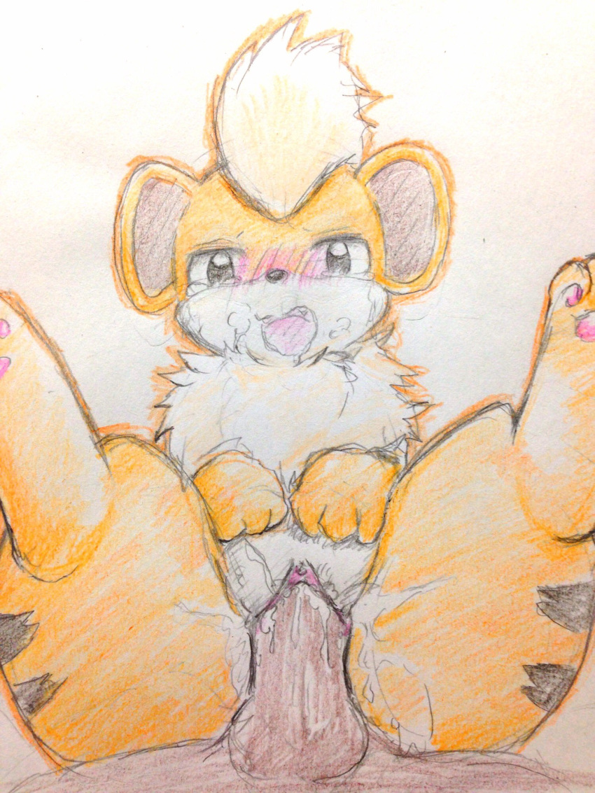 3_toes begging begging_pose black_eyes black_nose black_stripes blush clitoris colored_pencil_(artwork) cute_fangs eiroru faceless_male female fluffy fur growlithe half-closed_eyes hi_res huff interspecies male male/female nintendo open_mouth orange_fur pawpads penetration penis pink_pawpads pok&eacute;mon pok&eacute;mon_(species) pok&eacute;philia pussy pussy_juice sketch snout striped_fur stripes toes tongue traditional_media_(artwork) vaginal vaginal_penetration video_games white_fur