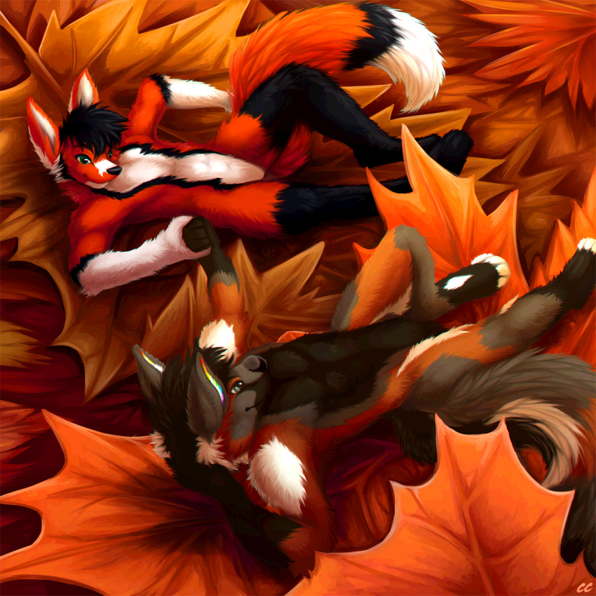 2018 4_toes abs anthro anthro_on_anthro athletic autumn biceps biped black_fur black_hair black_nose brown_fur canid canine canis cheek_tuft chibity countershading digital_media_(artwork) digitigrade dipstick_tail domestic_dog duo featureless_crotch fox fray_the_fox fur german_shepherd gloves_(marking) green_eyes grey_fur hair hand_behind_head hand_holding hi_res leaf looking_at_another looking_at_partner lying male male/male mammal markings micro multicolored_fur multicolored_tail muzzle_(marking) on_back orange_fur pecs rainbow_fur red_fox reverse_countershading ritter_(krazykit) shadow signature smile socks_(marking) toeless_(marking) toes tuft white_countershading white_fur