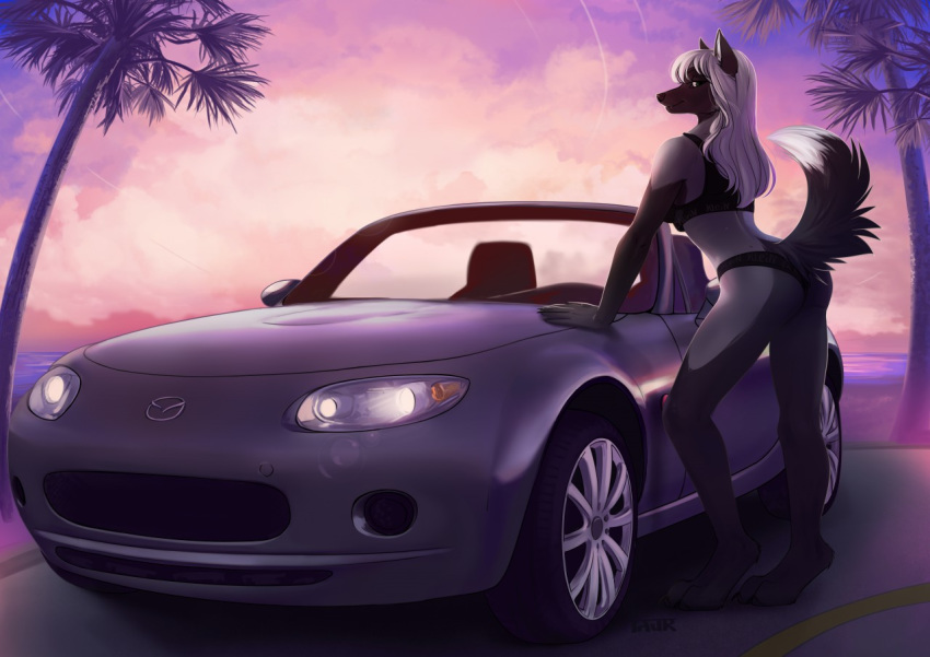 anthro black_fur bra butt canid canine car clothing detailed_background female fox fur green_eyes grey_fur hair long_hair looking_at_viewer mammal mazda mazda_mx-5 outside smile solo sunset taurusart trish_(invasormkiv) underwear vehicle white_hair