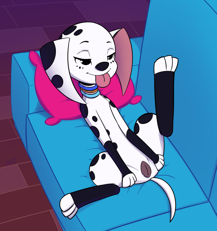 101_dalmatian_street absurd_res animal_genitalia animal_pussy canid canine canine_pussy canis collar dalmatian dolly_(101_dalmatians) domestic_dog female feral hi_res mammal paws presenting pussy sofa solo soulcentinel tongue