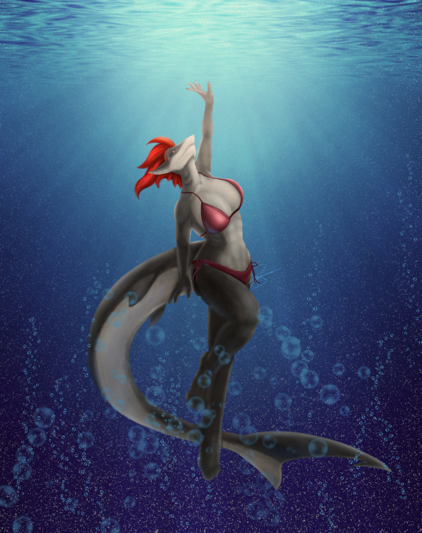 4_toes abs absurd_res anthro bikini black_eyes breasts bubble butt clothing dickgirl fin fish gills hair hi_res intersex marine muscular muscular_dickgirl muscular_intersex piercing red_bikini red_hair sea shark smile solo swimming swimsuit tiburia toes viny_de_siqueira water