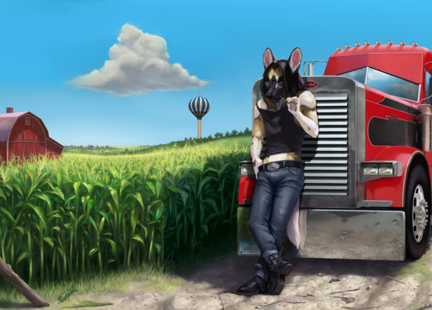 african_wild_dog black_hair blue_eyes boots canid canine clothing cornfield country cowboy_boots detailed_background diesel_(disambiguation) farm footwear fuzzle_(artist) hair jazzypup jeans male mammal outside pants peterbilt tee_shirt truck vehicle water_tower