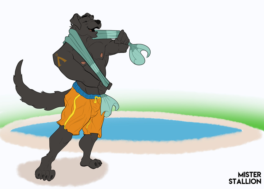 anthro bulge canid canine canis domestic_dog eyes_closed male mammal misterstallion muscular muscular_male nipples smile solo swimming swimming_pool tattoo towel