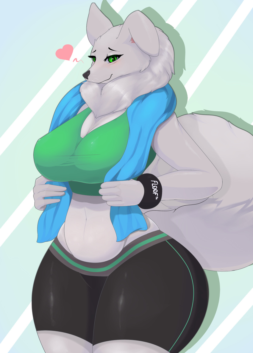 &lt;3 absurd_res anthro asaneman big_breasts breasts canid canine canis clothing domestic_dog exercise female fur green_eyes hi_res mammal midriff ms._fluff navel neck_tuft samoyed sweatband thick_thighs towel tuft white_fur wide_hips workout_clothes