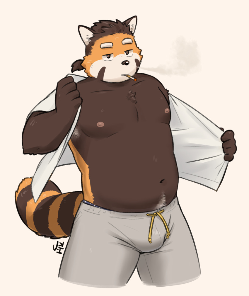 5_fingers ailurid anthro armpit_hair body_hair brown_eyes brown_fur brown_hair bulge cigarette clothing fur hair happy_trail hi_res jeck looking_at_viewer male mammal navel nipples orange_fur red_panda simple_background slightly_chubby solo standing sweat_pants undressing white_fur