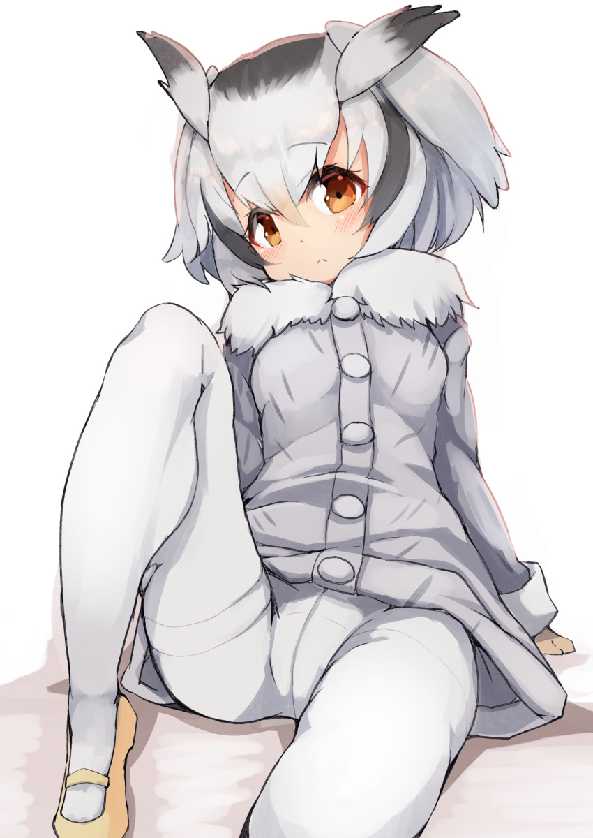 1girl bangs black_hair blush brown_eyes coat crotch_seam eyebrows_visible_through_hair frown fur_collar grey_coat grey_hair hair_between_eyes head_wings highres kemono_friends knee_up long_sleeves looking_at_viewer multicolored_hair northern_white-faced_owl_(kemono_friends) pantyhose shoes short_hair simple_background sitting solo teranekosu thighband_pantyhose white_background white_legwear yellow_footwear