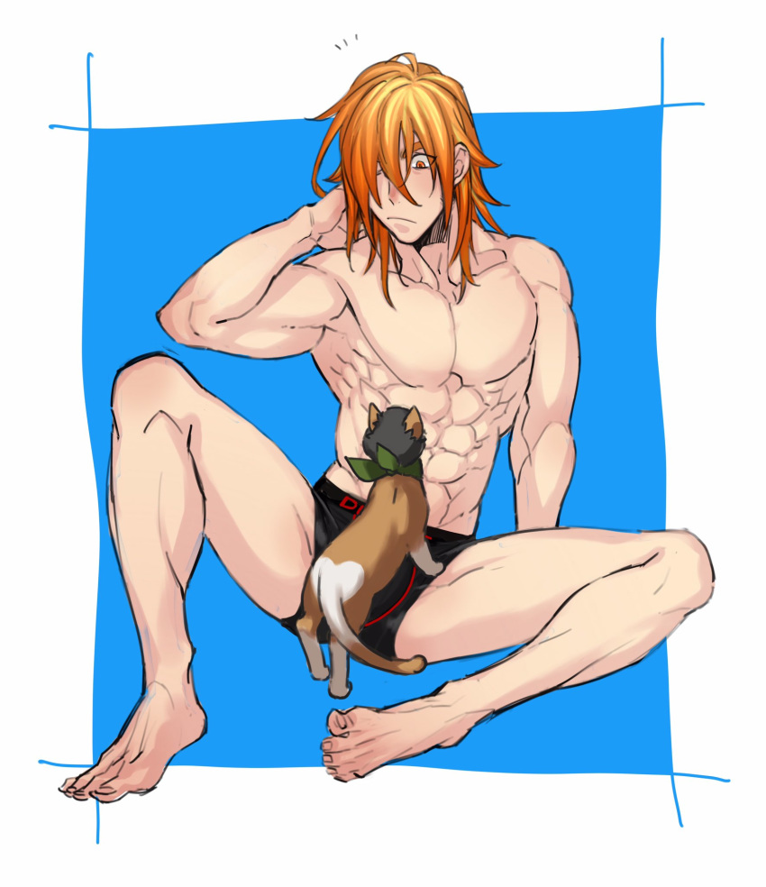 1boy abs akai_suzaku arm_support black_briefs blue_background boxer_briefs hair_down highres idolmaster idolmaster_side-m looking_at_another male_focus male_underwear multicolored_hair no_nipples nyako_(idolmaster) orange_eyes orange_hair outside_border simple_background sitting toned toned_male torawar two-tone_hair underwear underwear_only