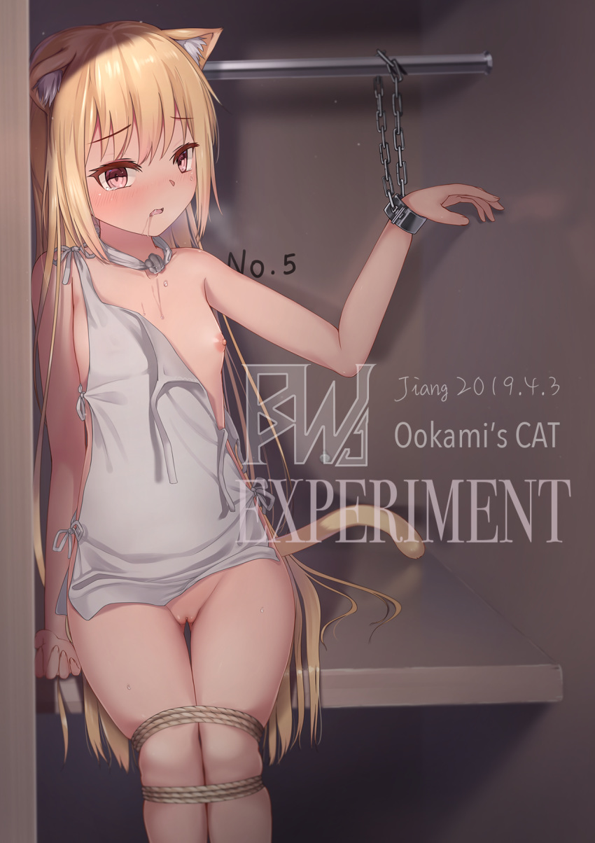 1girl animal_ears bdsm blonde_hair blush bondage bound breasts brown_eyes cat_ears chains cuffs highres jcj0125 long_hair nipples pussy rope small_breasts solo tears uncensored