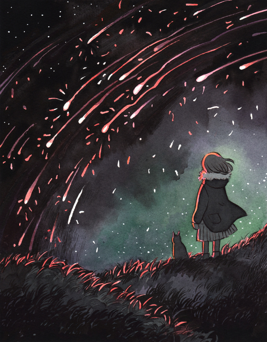 1girl cat facing_away from_behind fur_trim grass heikala highres hood hood_down hooded_jacket inktober jacket long_hair long_sleeves meteor_shower night night_sky original outdoors pleated_skirt pocket shooting_star skirt sky solo standing star_(sky) starry_sky