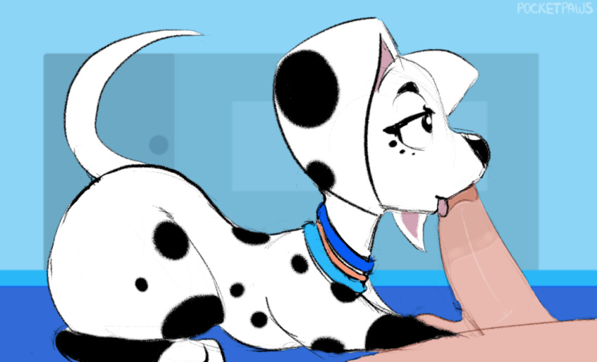 101_dalmatian_street animated bestiality canid canine canis dalmatian dolly_(101_dalmatians) domestic_dog female feral feral_penetrated human human_on_feral human_penetrating human_penetrating_feral interspecies invalid_tag male male/female mammal oral penetration penis pocketpaws sucking