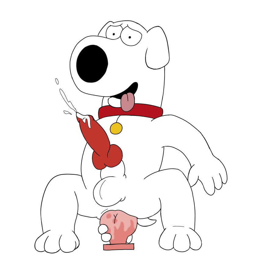 2019 absurd_res anal anal_masturbation animal_genitalia animal_penis anthro balls brian_griffin canid canine canine_penis canis collar cum domestic_dog erection family_guy fur hi_res knot looking_at_viewer looking_pleasured magzol male mammal masturbation orgasm penis solo tongue tongue_out white_fur