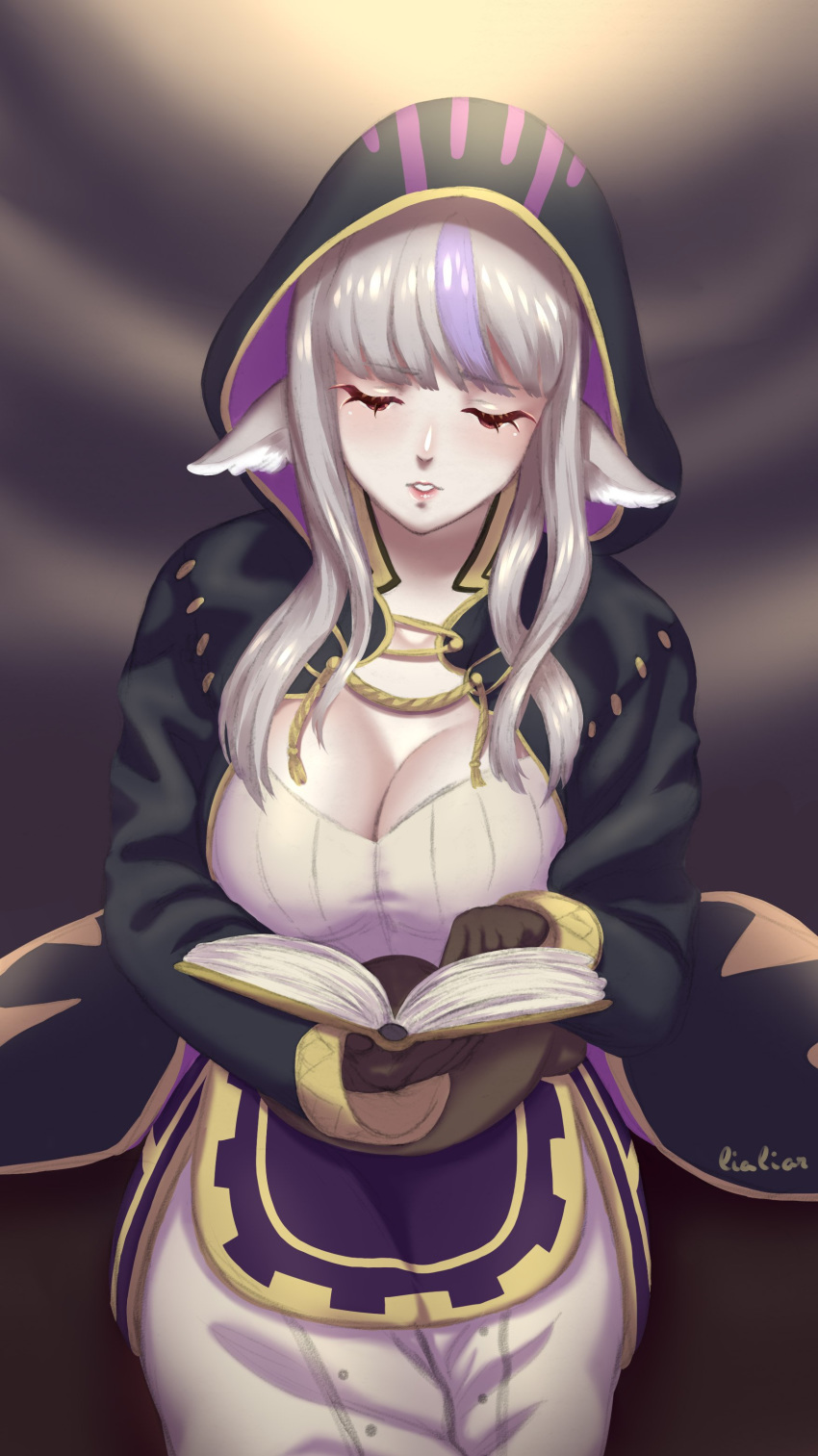 1girl absurdres animal_ears artist_name book breasts brown_gloves cleavage commission cosplay fire_emblem fire_emblem:_kakusei fire_emblem_if gloves grey_hair highres holding holding_book hood hood_up large_breasts lialiar1 long_hair long_sleeves multicolored_hair my_unit my_unit_(cosplay) my_unit_(fire_emblem:_kakusei) nintendo open_book parted_lips purple_hair robe solo streaked_hair velour_(fire_emblem_if) wolf_ears