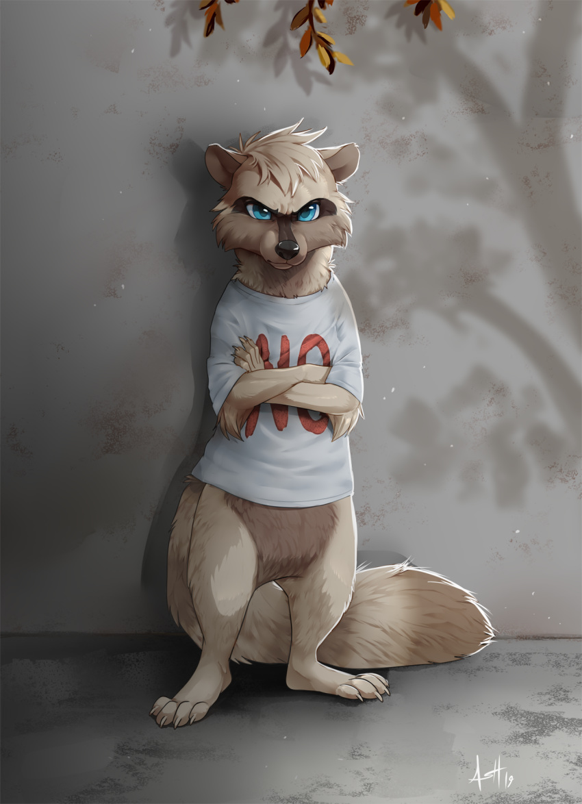 2019 ambiguous_gender angry blue_eyes bottomless clothed clothing crossed_arms detailed_background digital_media_(artwork) hi_res mammal procyonid raccoon semi-anthro shirt skeleion solo