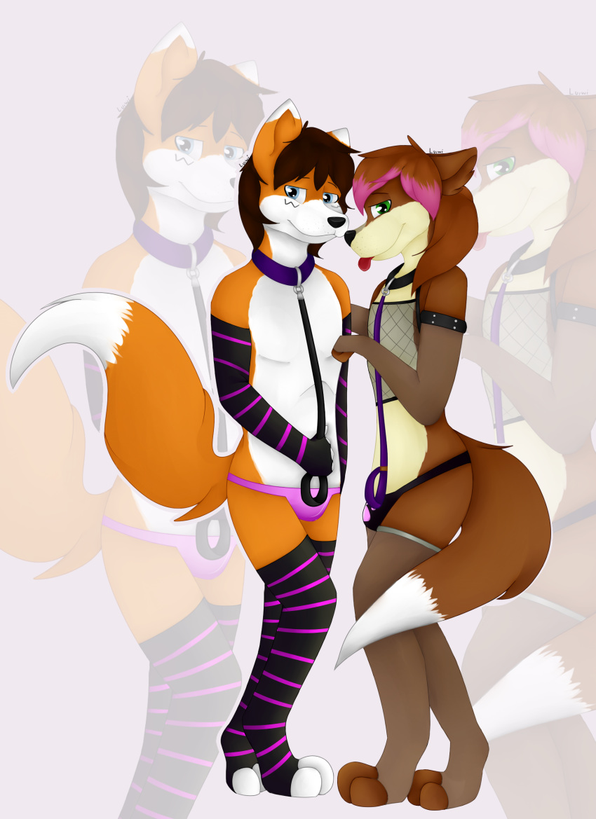 absurd_res anthro bulge canid canine clothed clothing collar digital_media_(artwork) duo fishnet_topwear fox girly hi_res legwear looking_at_viewer luiwiwi_(artist) luvini luvini_(character) male mammal meep panties sky_(character) thigh_highs underwear