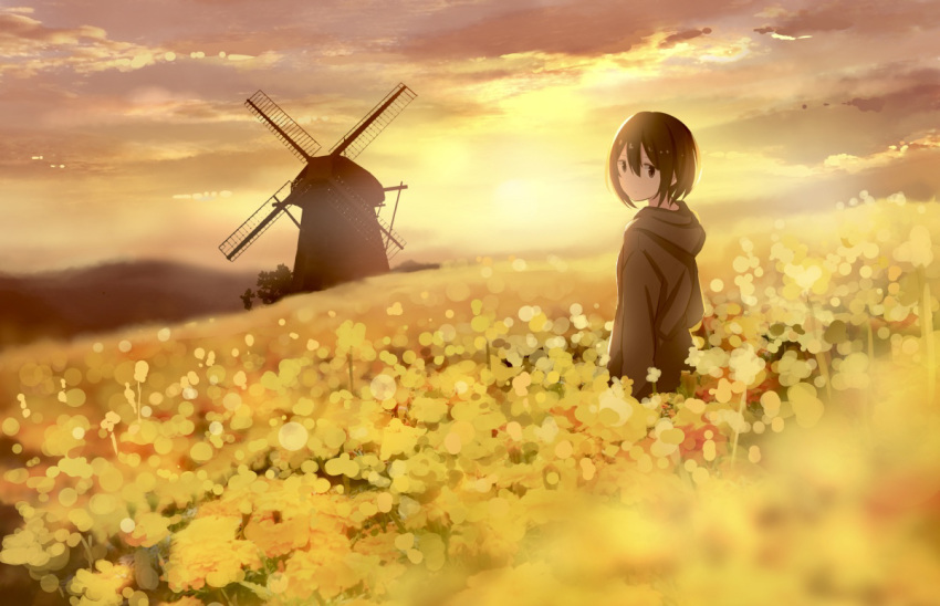 1girl backlighting blurry blurry_foreground brown_eyes brown_hair cloud cloudy_sky commentary_request depth_of_field field flower flower_field landscape looking_at_viewer looking_back original rapeseed_blossoms sakeharasu scenery short_hair sky solo standing sunset wide_shot windmill yellow_theme